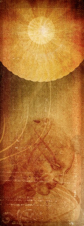 Shroud illustration