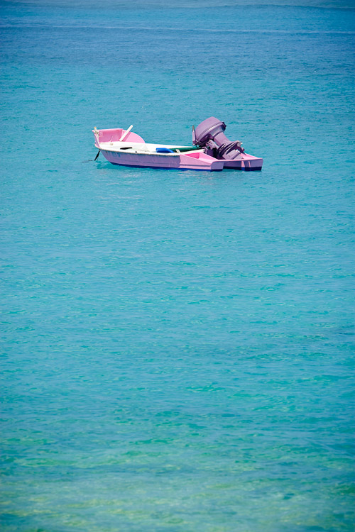 Photo of pink boat.