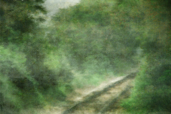 train-tracks-summer2